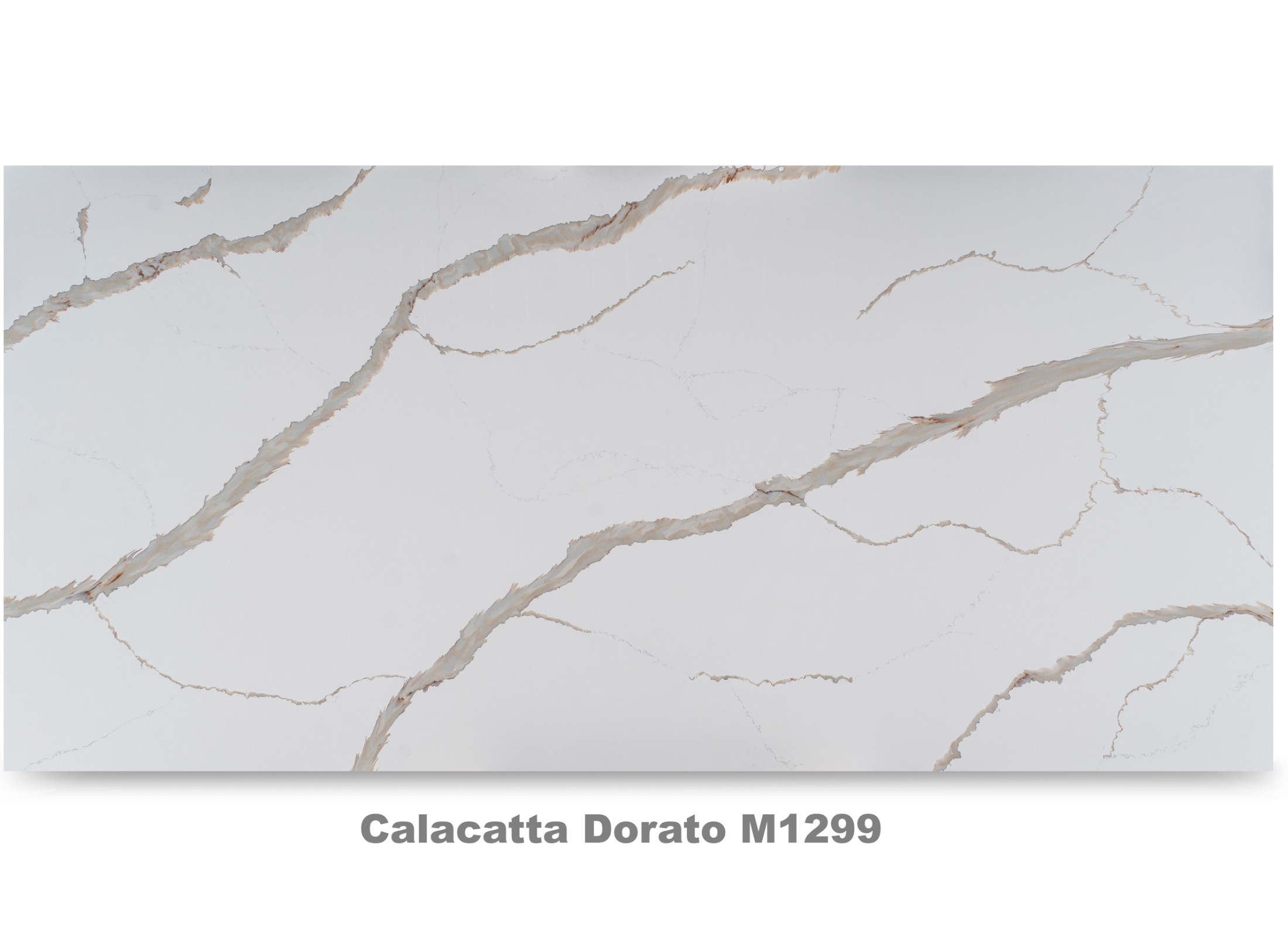 M1299 Calacatta Dorato