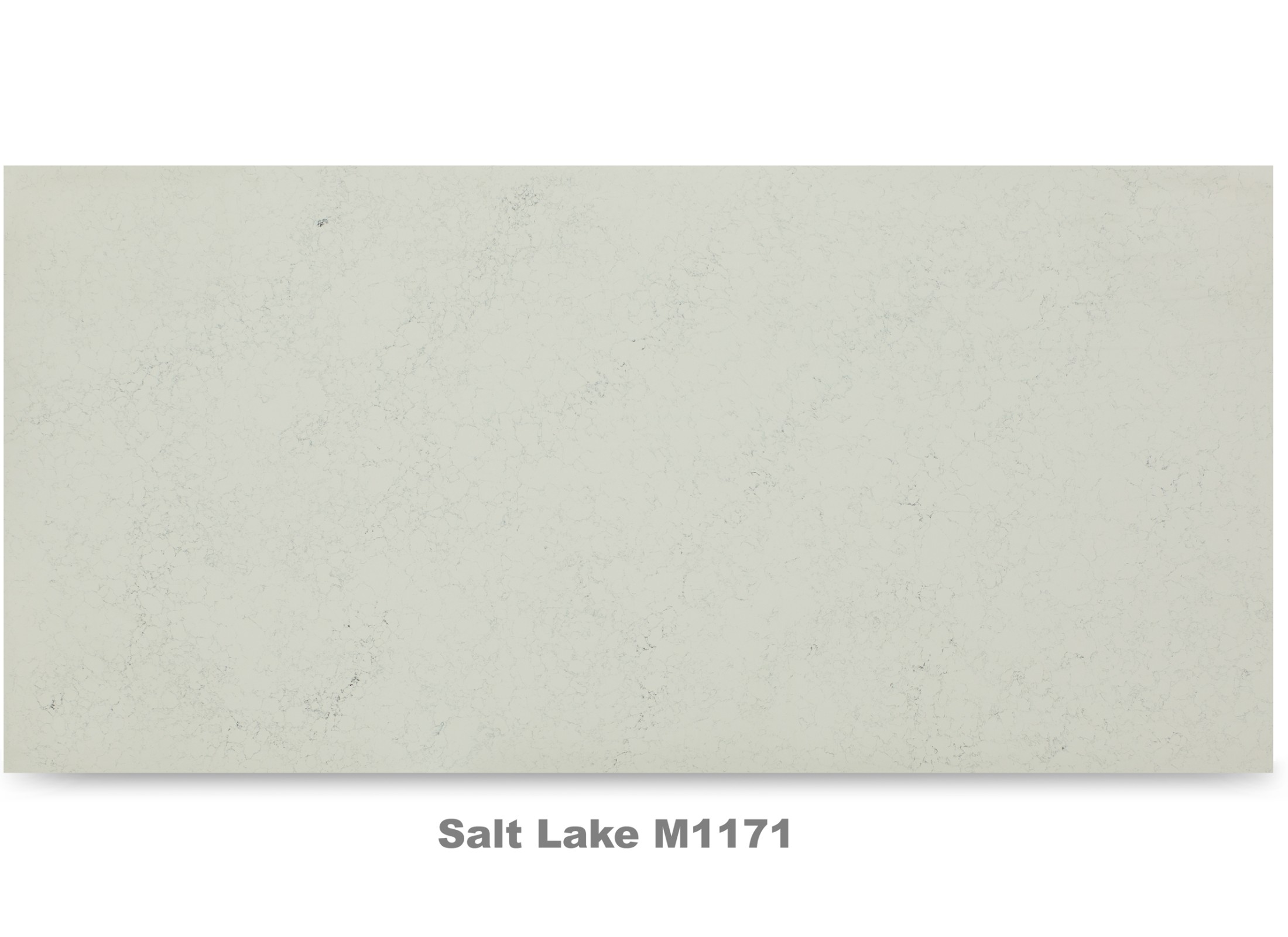 M1171 Salt Lake