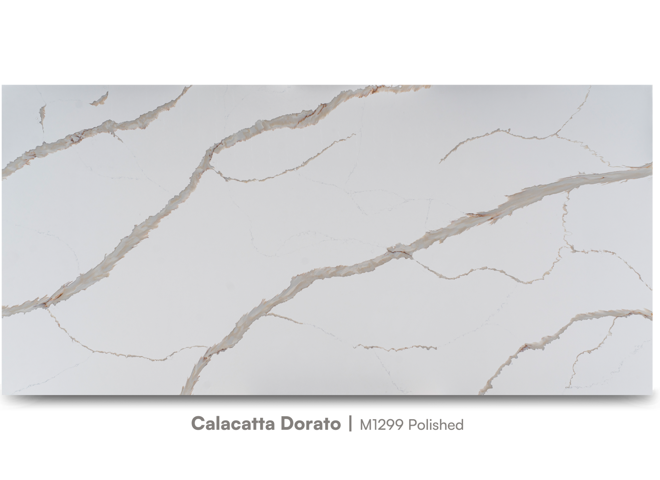M1299 Calacatta Dorato