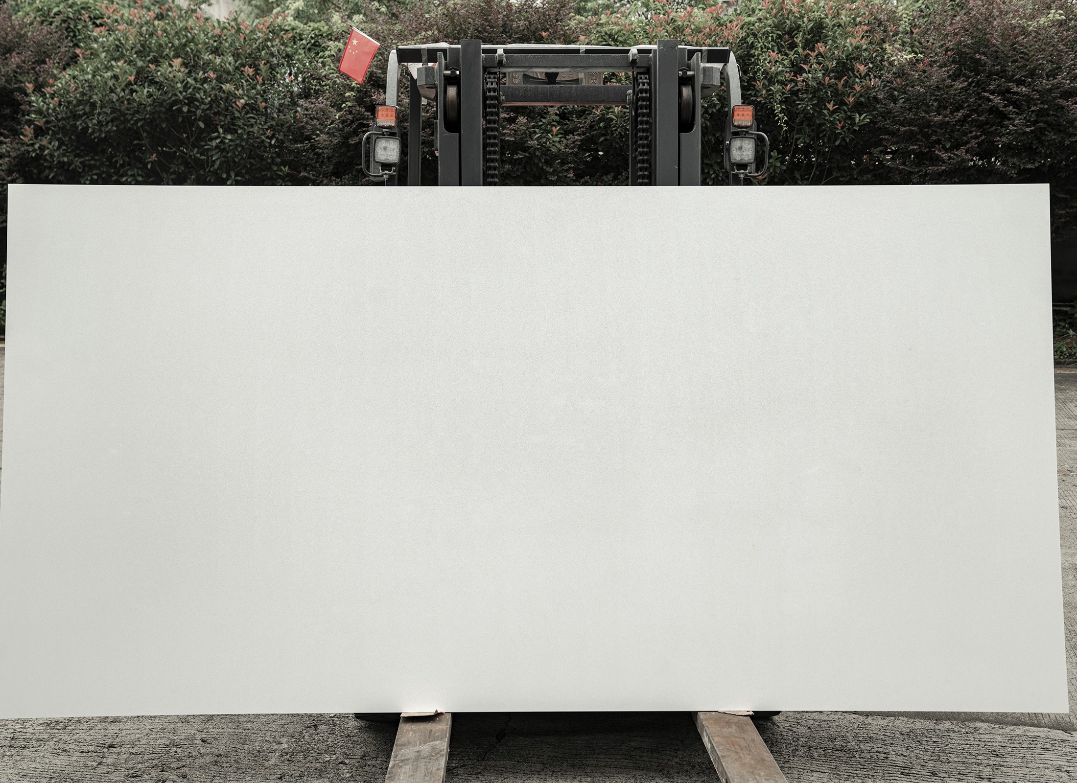 P1056 Pole White